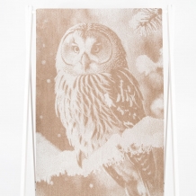 6с102.511ж2 Фото-сова (лен3) Полотенце махровое 67х150см