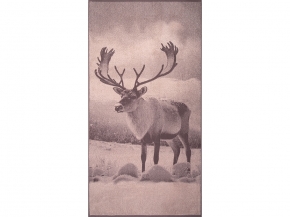 6с102.413ж1 Фото-олень(т.с.мальв1) Полотенце махровое 81х160см