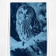 6с102.413ж1 Фото-сова(джинс) Полотенце махровое 81х160см