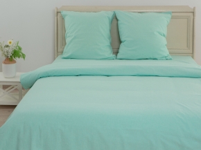 22С103-ШР/уп 215*175 КПБ цв. 210 мята