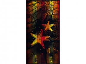 6с102.413ж1 Прилив (СН1 т.синий) Полотенце махровое 81х160см