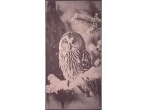 6с102.413ж1 Фото-сова(т.с.мальв1) Полотенце махровое 81х160см