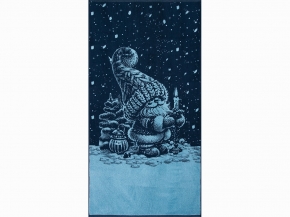 6с102.413ж1 Рождественской ночью  (джинс) Полотенце махровое 81х160см