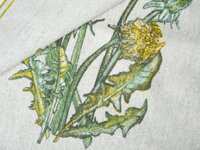 24С111-ШР/р.п./к. 46*60 Полотенце "Одуванчики-1" цв. 1 рис. 241