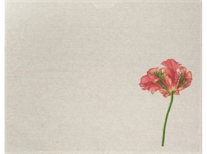 24С112-ШР/рп/фкор/к. Комплект полотенец из 3 шт. 46*60 "Фрэнсис-3" рис. 294