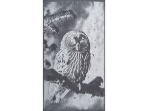 6с103.412ж1 Фото-сова(графит5) Полотенце махровое 50х90см