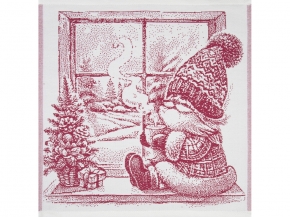 9с25.110ж1 В окошке(ДТЭ бордовый) Салфетка 50х50см