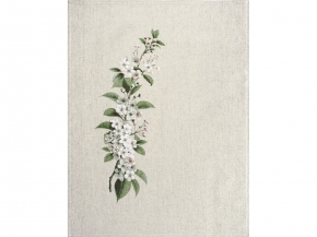 24С233-ШР/рп/фкор/к. Комплект полотенец из 3 шт 46*60 "Цветение-3" цв. 1 рис. 26