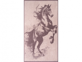 6с103.412ж1 Гром(т.с.мальв1) Полотенце махровое 50х90см