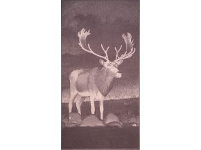 6с102.413ж1 Фото-олень(т.с.мальв1) Полотенце махровое 81х160см