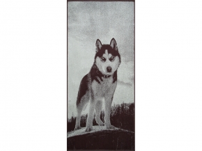 6с102.411ж1 Хаски (шоколад) Полотенце махровое 67х150см