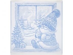 9с25.110ж1 В окошке(ДТЭ регата) Салфетка 50х50см