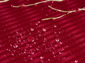 Жкр150-29/191656П Скатерть Диам150