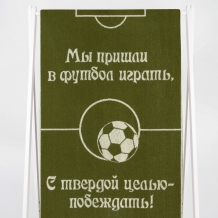 6с102.411ж1 Футбол (болотный) Полотенце махровое 67х150см