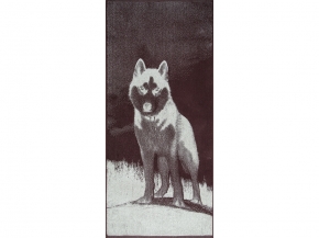 6с102.411ж1 Хаски (шоколад) Полотенце махровое 67х150см