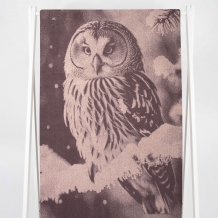 6с102.411ж1 Фото-сова(т.с.мальв1) Полотенце махровое 67х150см