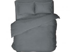 41252/0-БЧ КПБ 2-х сп. рис. 18-4010 серый