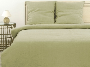 23С205-ШР/у/уп 215*153 КПБ (семейный) цв. 627 рис. 0 бледно-зеленый