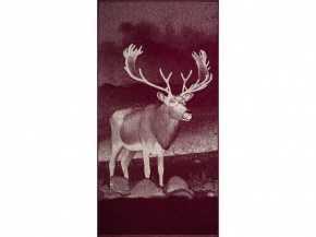6с102.413ж1 Фото-олень(кр.дерево1) Полотенце махровое 81х160см