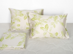 4900-БЧ  КПБ 2х сп  рис 5386-01 (лен)