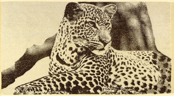 Полотенце Леопард